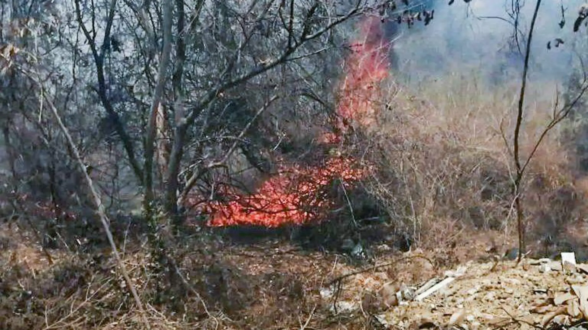 Incendio majahua zihuatanejo